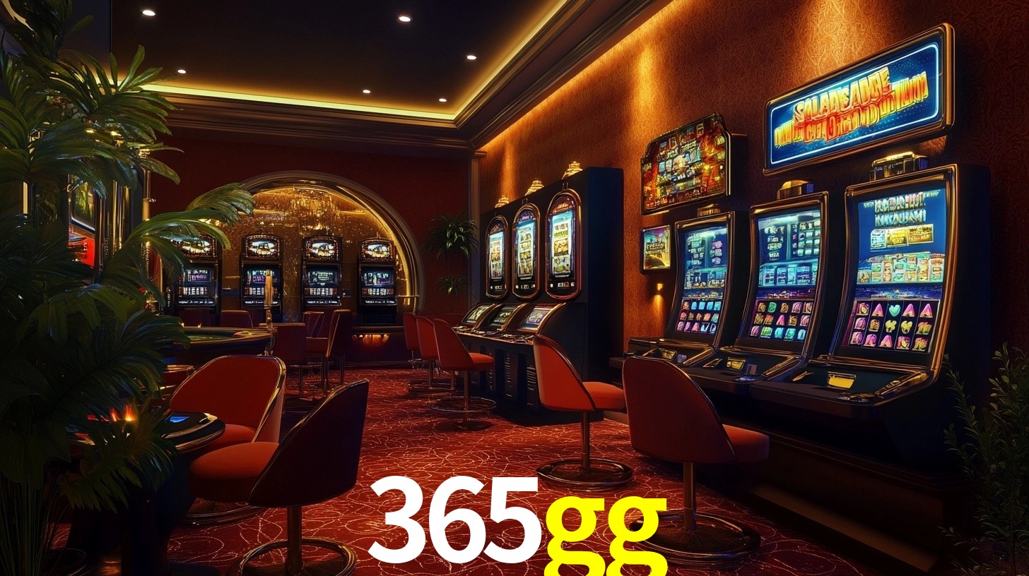 Premium Interface 365gg